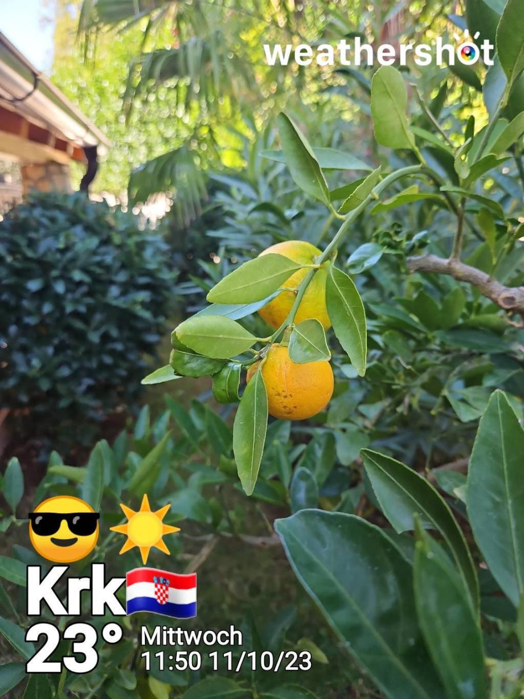 Villa Androcec Zgaljic Bagian luar foto